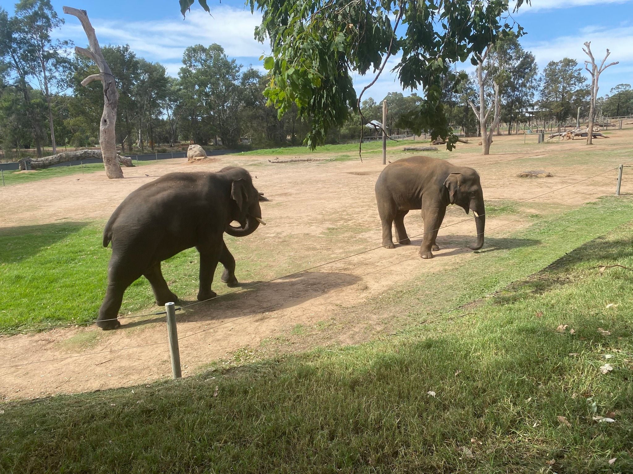 Dubbo Zoo 2025 Image -67de0482534c2